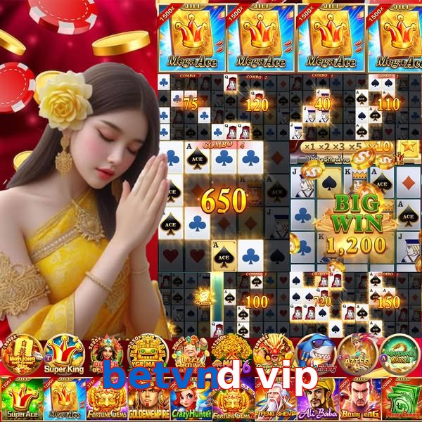 betvnd vip