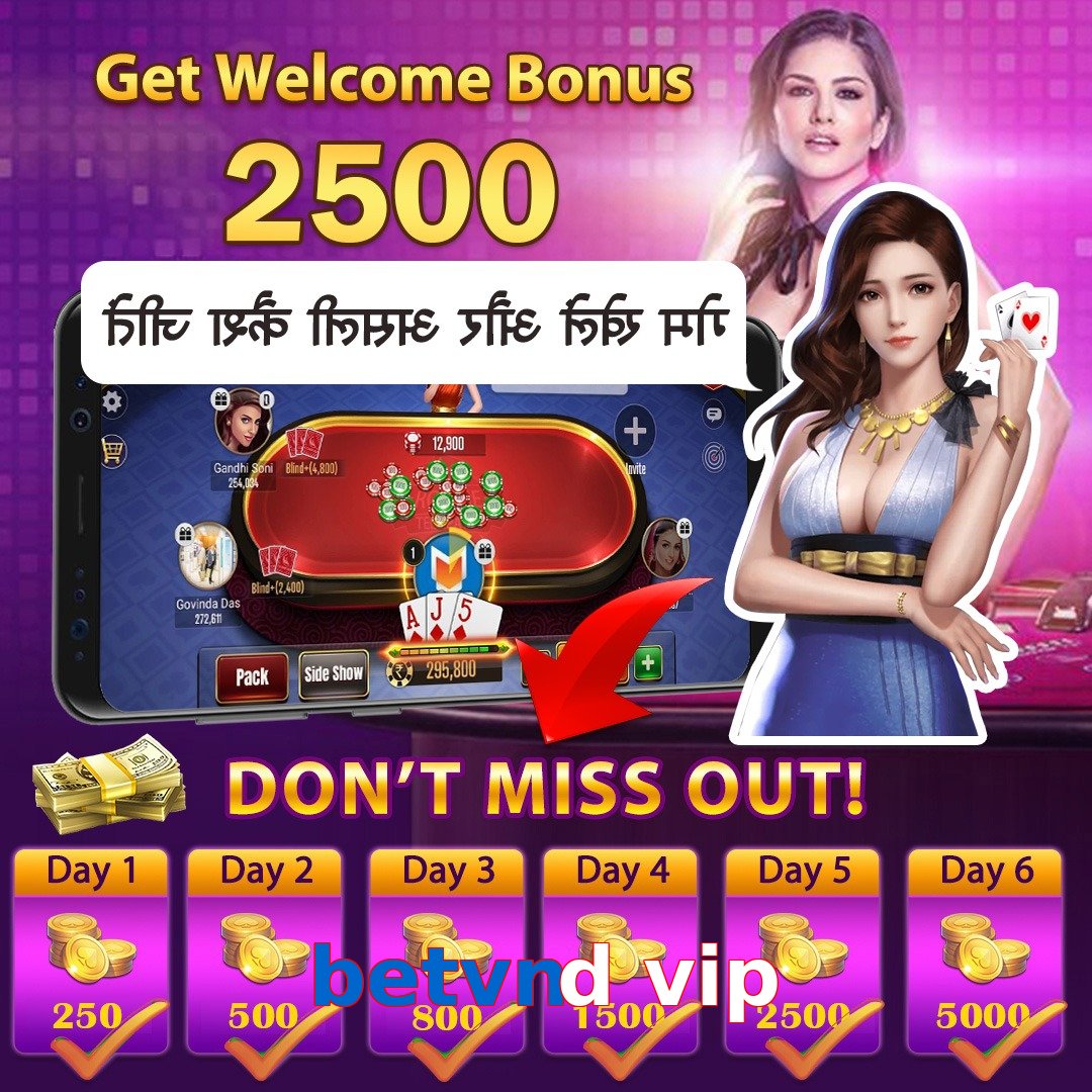 betvnd vip
