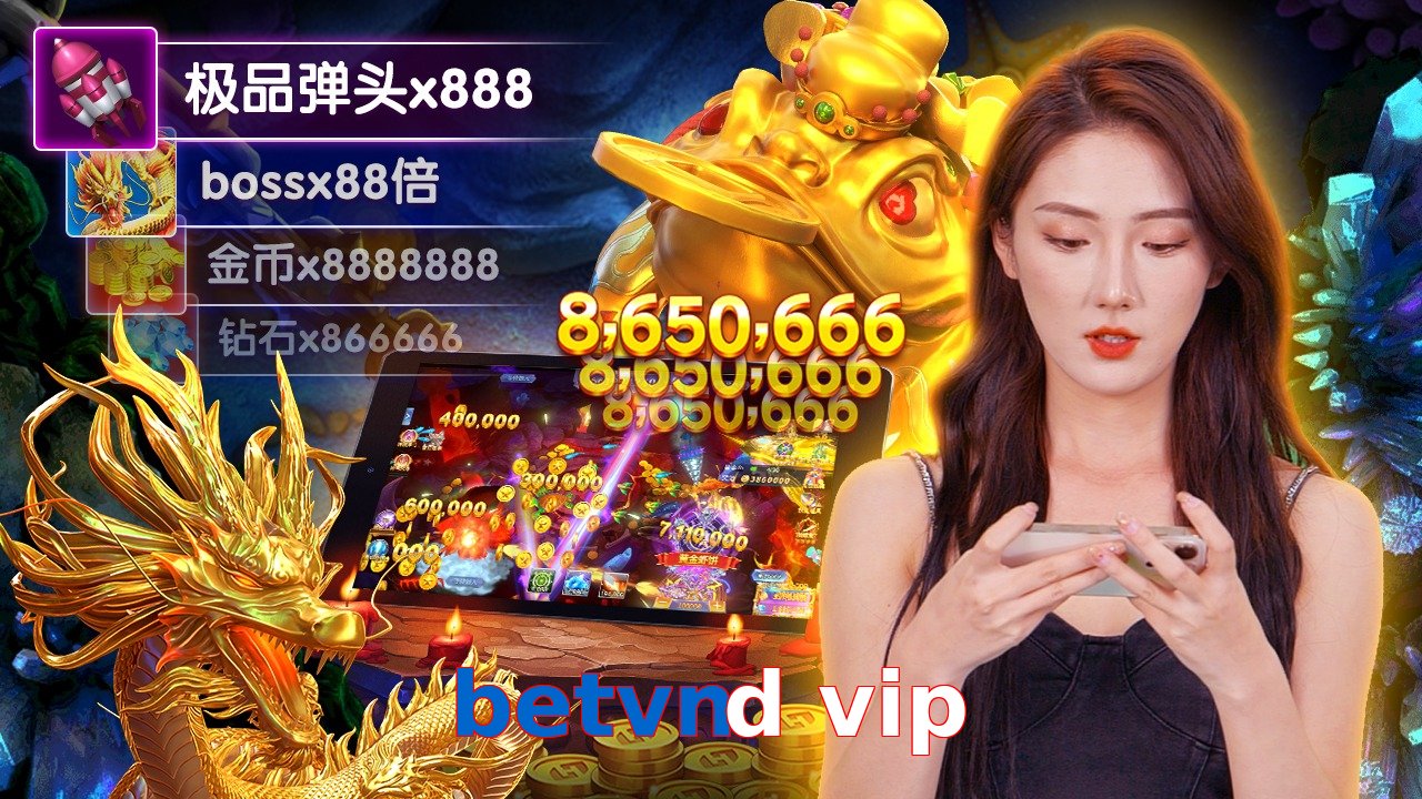 betvnd vip