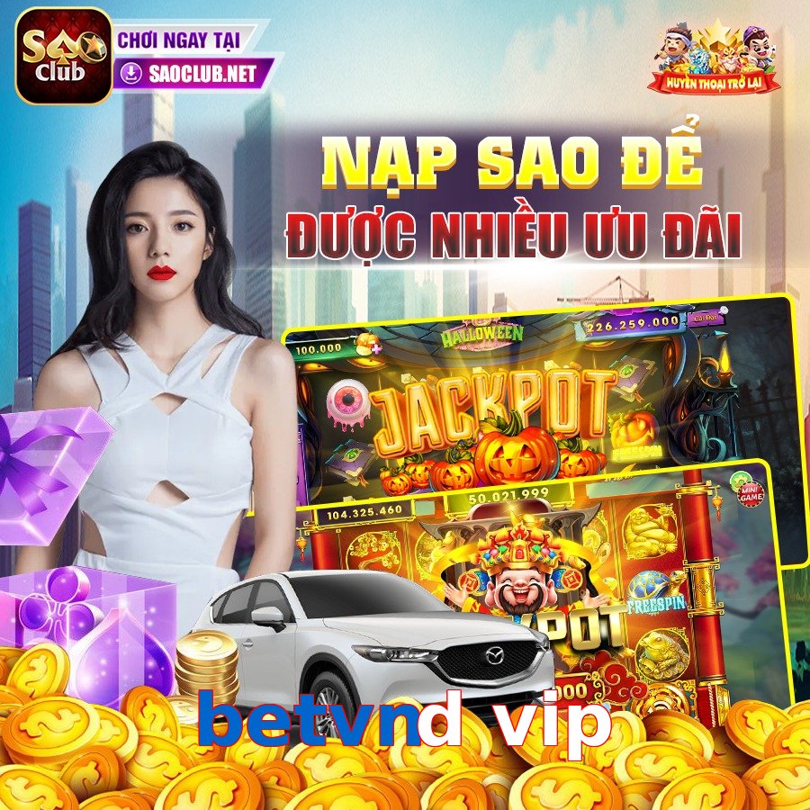 betvnd vip